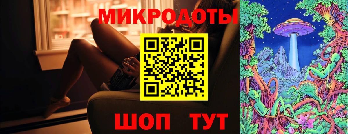 Галлюциногенные грибы Psilocybine cubensis Аргун