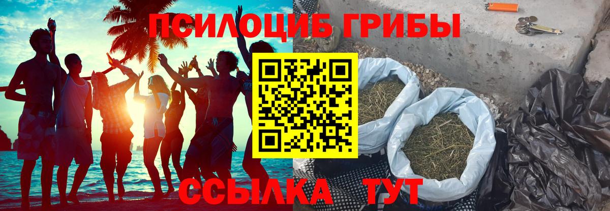 Галлюциногенные грибы мицелий  Вход с VPN  Псилоцибиновые грибы Cubensis  Аргун 